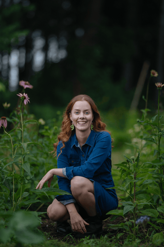 Pate-vanerikorvakoru